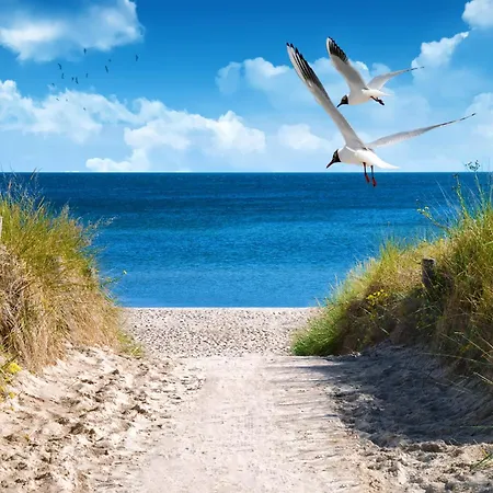 Vital 4 Inklusive Waeschepaket Und Urlaubsschutz Großenbrode